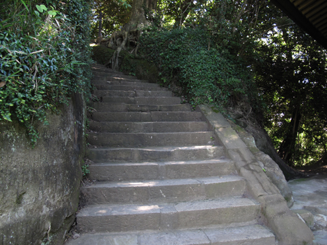 20150715hike (33)